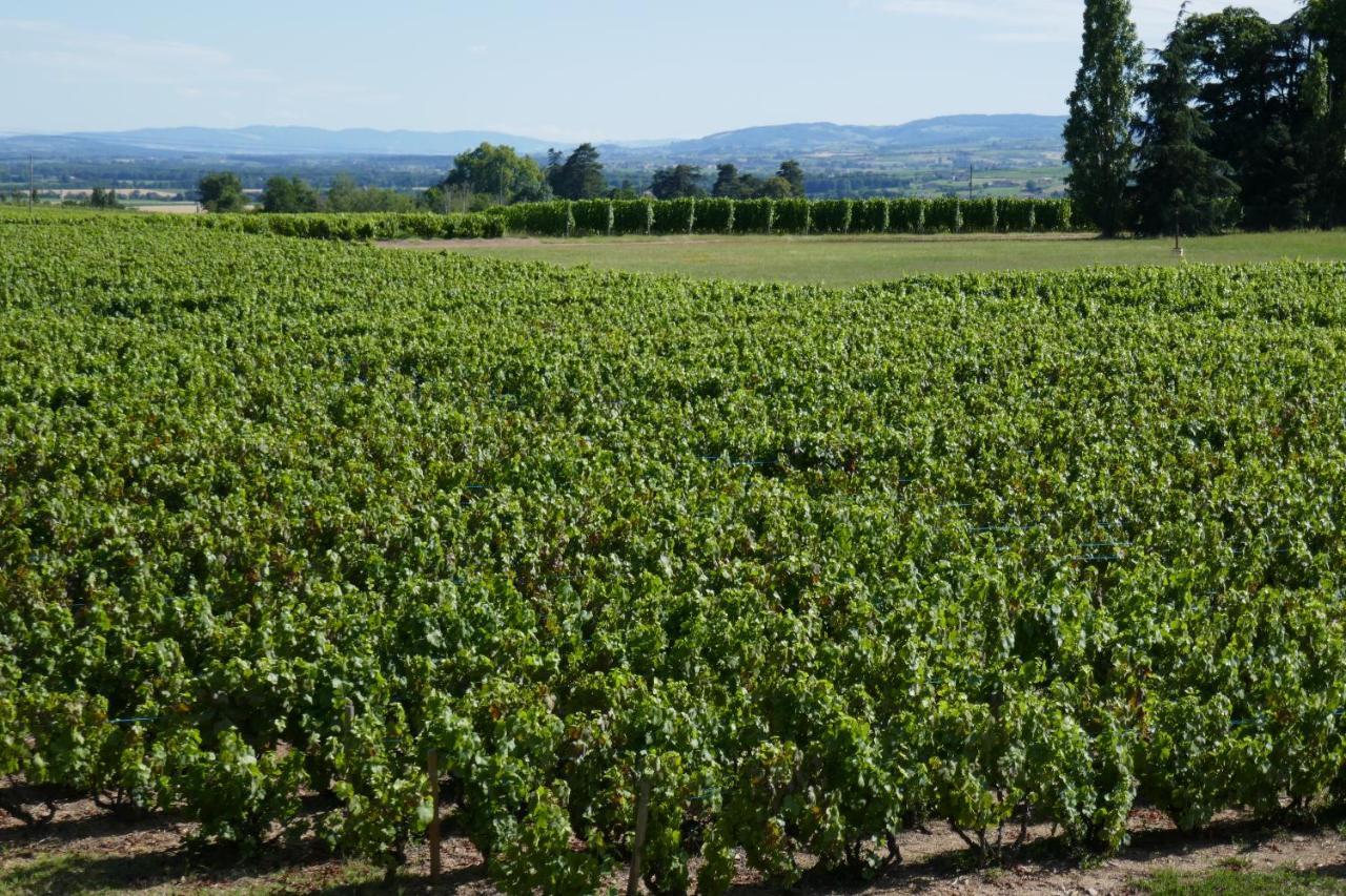 Le Bel Air De Saint Jean Bed and Breakfast Belleville-en-Beaujolais Exterior foto